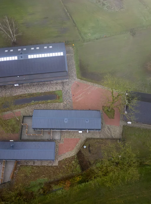 Project Koninklijke Hondenbescherming - Interduct